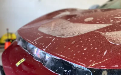 WhatsApp Image 2024-03-26 at 13.50.22 Kopie